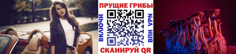 хочу Туринск Галлюциногенные грибы мицелий