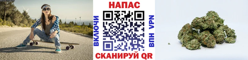 Шишки марихуана конопля  как найти   Туринск 